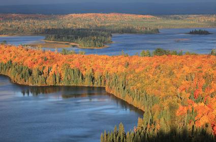 Morning Light and Fall Colors by Travis Novitsky